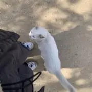 むにの画像