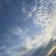 渡辺幸の画像