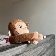 ジョジの画像