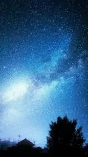 リズ。プロフ★部分必読の画像