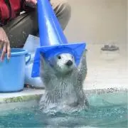 ららの画像