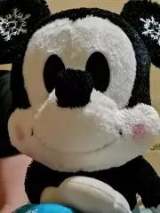 kanopapa