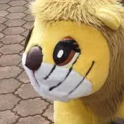 sawaの画像