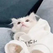 ♡プロフ必読の画像