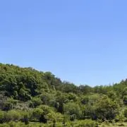 なるの画像