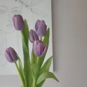 shieの画像