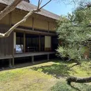 summerの画像