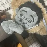 しめじの画像