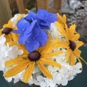 nico_nico⭐︎プロフ必読⭐︎の画像