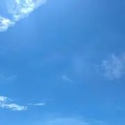 たくみんの画像