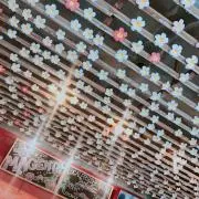 ぬーの画像