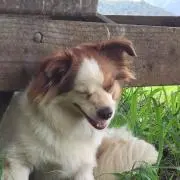 Yuki