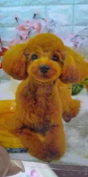 もこ