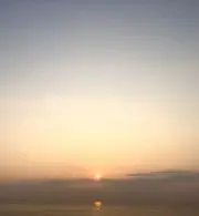マツ