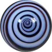 弦交換込11537】Sterling RAY4 スティングレイタイプ ブラック - メルカリ