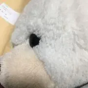 えんどー。