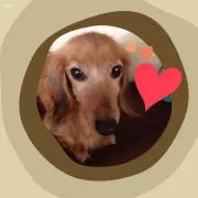 ひろはるママ