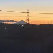 ニッシー