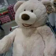 abcの画像