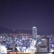 くーちゃんの画像