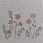 kalorinの画像