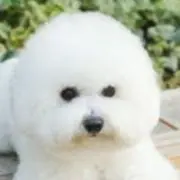 さとぴの画像