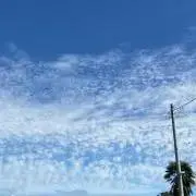 なつの画像