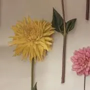 らいおんの画像