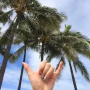 ピーナッツの画像