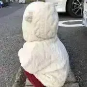 Tonboの画像