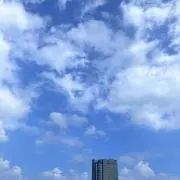 たまごの画像