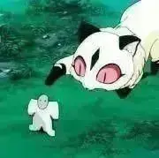 ぴょんの画像