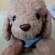 Y♡の画像