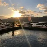 ちゃいちーるの画像