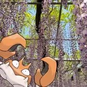 力二の画像