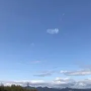 コラスの画像