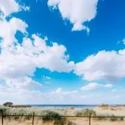 Veeの画像