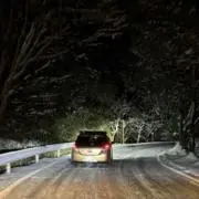 金剛の画像