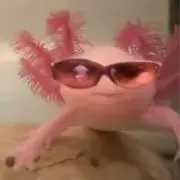 めろんの画像