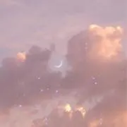 るるの画像