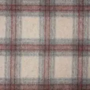 niの画像