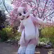 ななこの画像