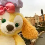 taの画像