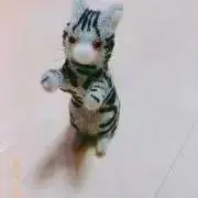 きなこもち