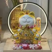 田中の画像