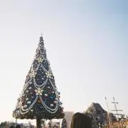 ふの画像