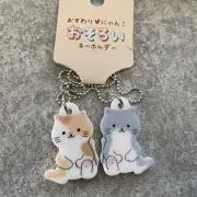 白豆の画像