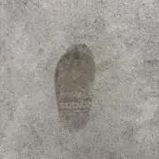 やまめいの画像