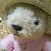 ✾オダ✾の画像