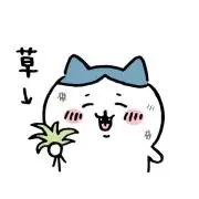 ゆかりの画像